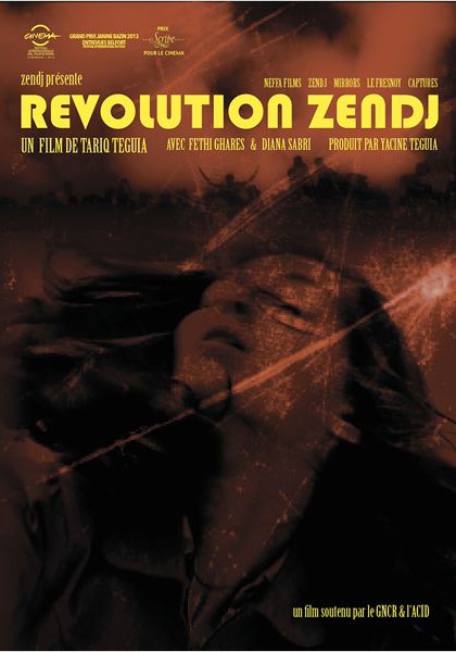 Révolution Zendj (2013)