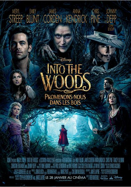 Into the Woods, Promenons-nous dans les bois (2014)