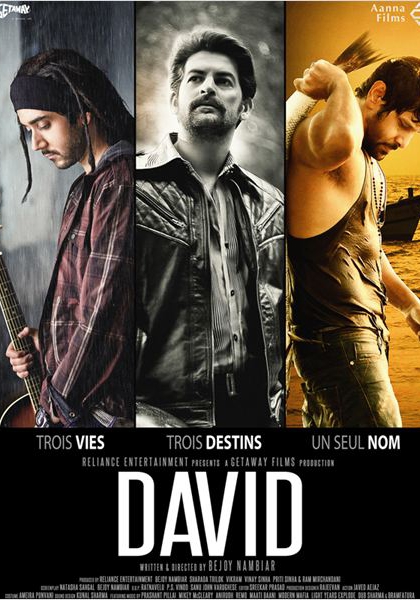 David - Hindi (2013)