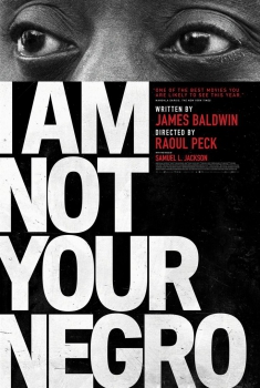 I Am Not Your Negro (2017)